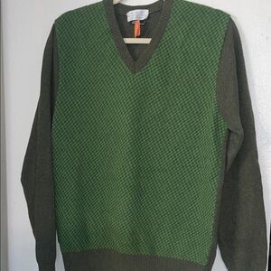 Men's Green Textured V-Neck Sweater by